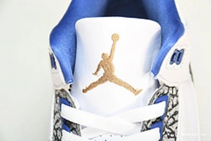 Jordan Wizards 3 0803